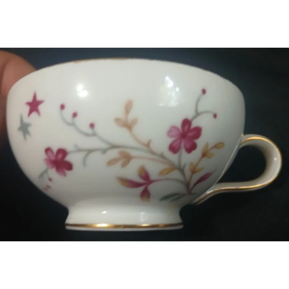 Vintage Eschenbach Bavaria Germany Clarice Floral Tea Set 13 pcs Stamped W838 24